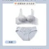 Gray Blue - Set