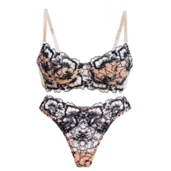 Sexy Embroidered Lace Lingerie Set for Women with Small Breasts, Push-Up and Anti-Sagging, Ultra-Thin, Beautiful Back Bra Set